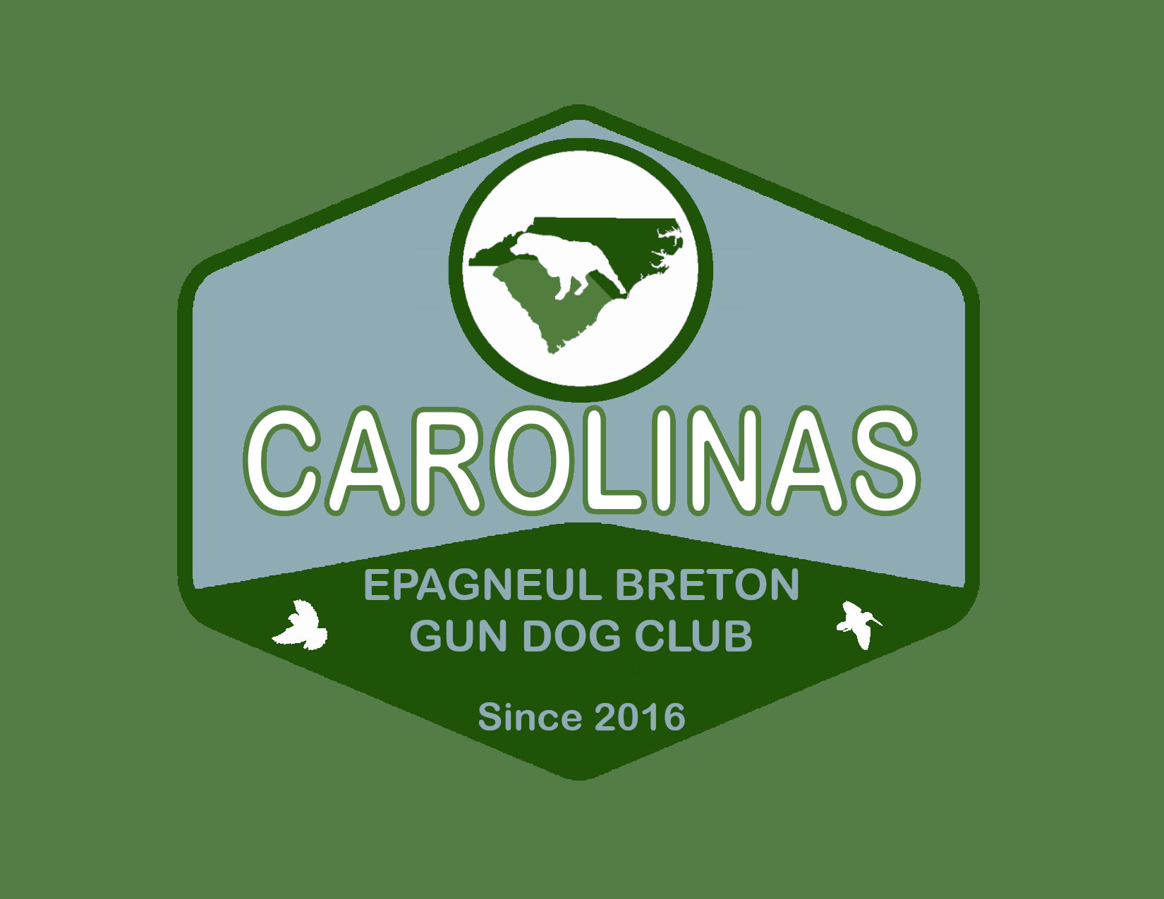 Carolinas Epagneul Breton Gun Dog Club