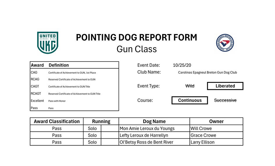 Gun Solo 10-25-20